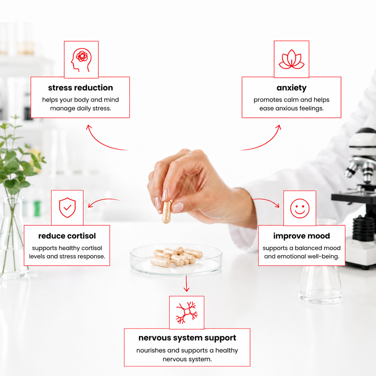 Hand holding a supplement with text on stress reduction, anxiety, cortisol, mood, and nervous system support.